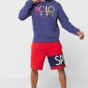 Marinblå luvtröja med Ralph Lauren logotyp för män