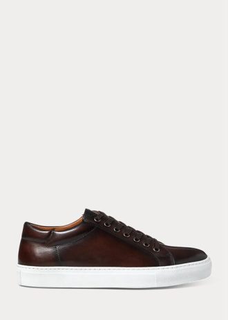 Mörkbruna Ralph Lauren Severn Sneakers i brunfärgat kalvskinn för män