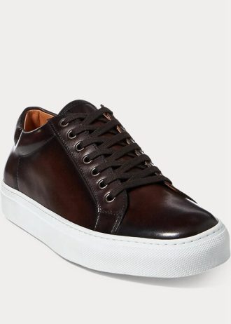 Mörkbruna Ralph Lauren Severn Sneakers i brunfärgat kalvskinn för män